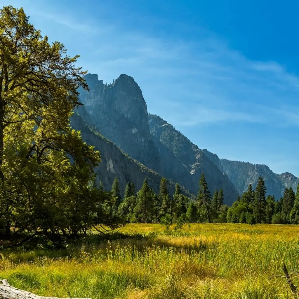 yosemite photo spots