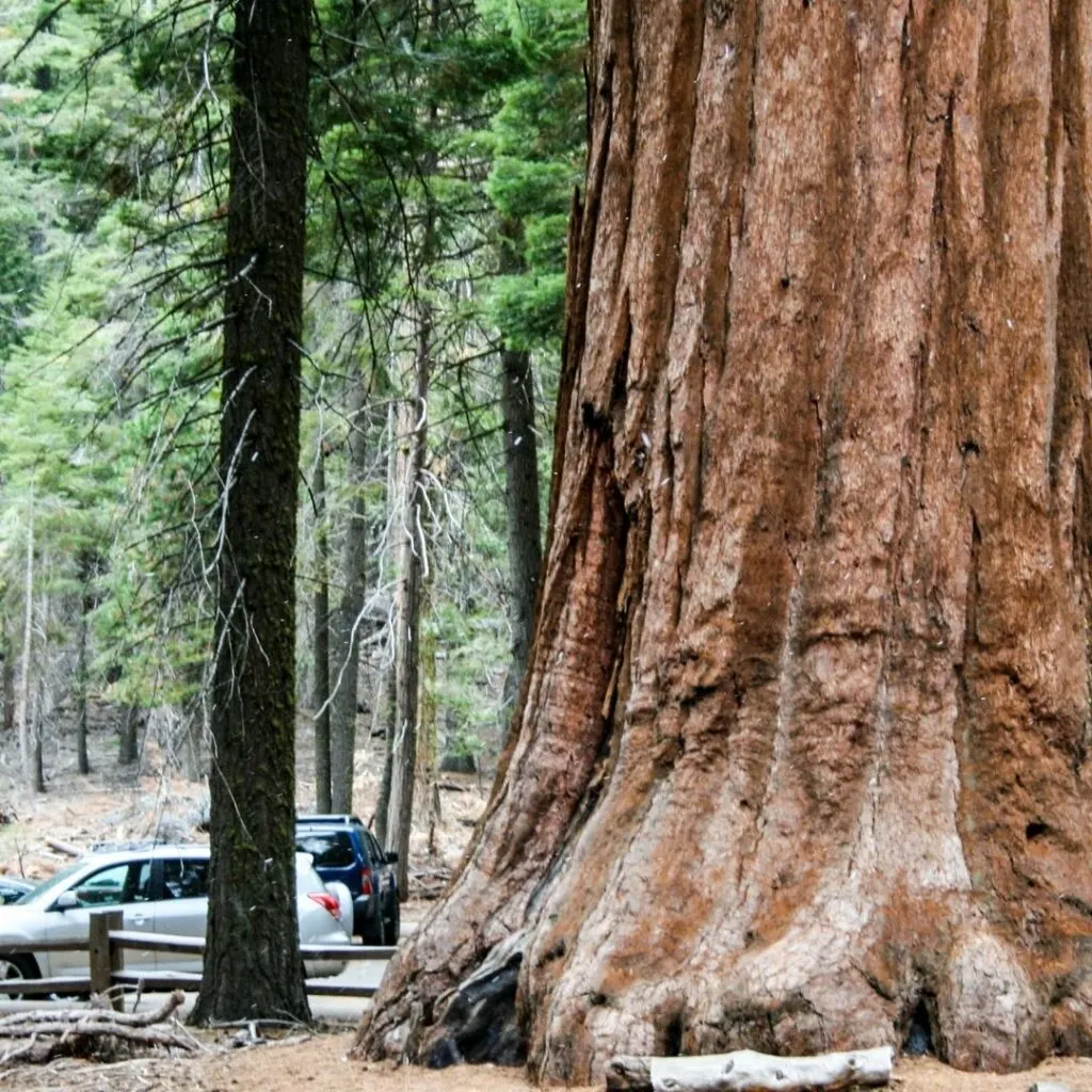 yosemite for families