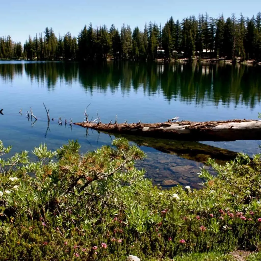 best hikes in yosemite for families