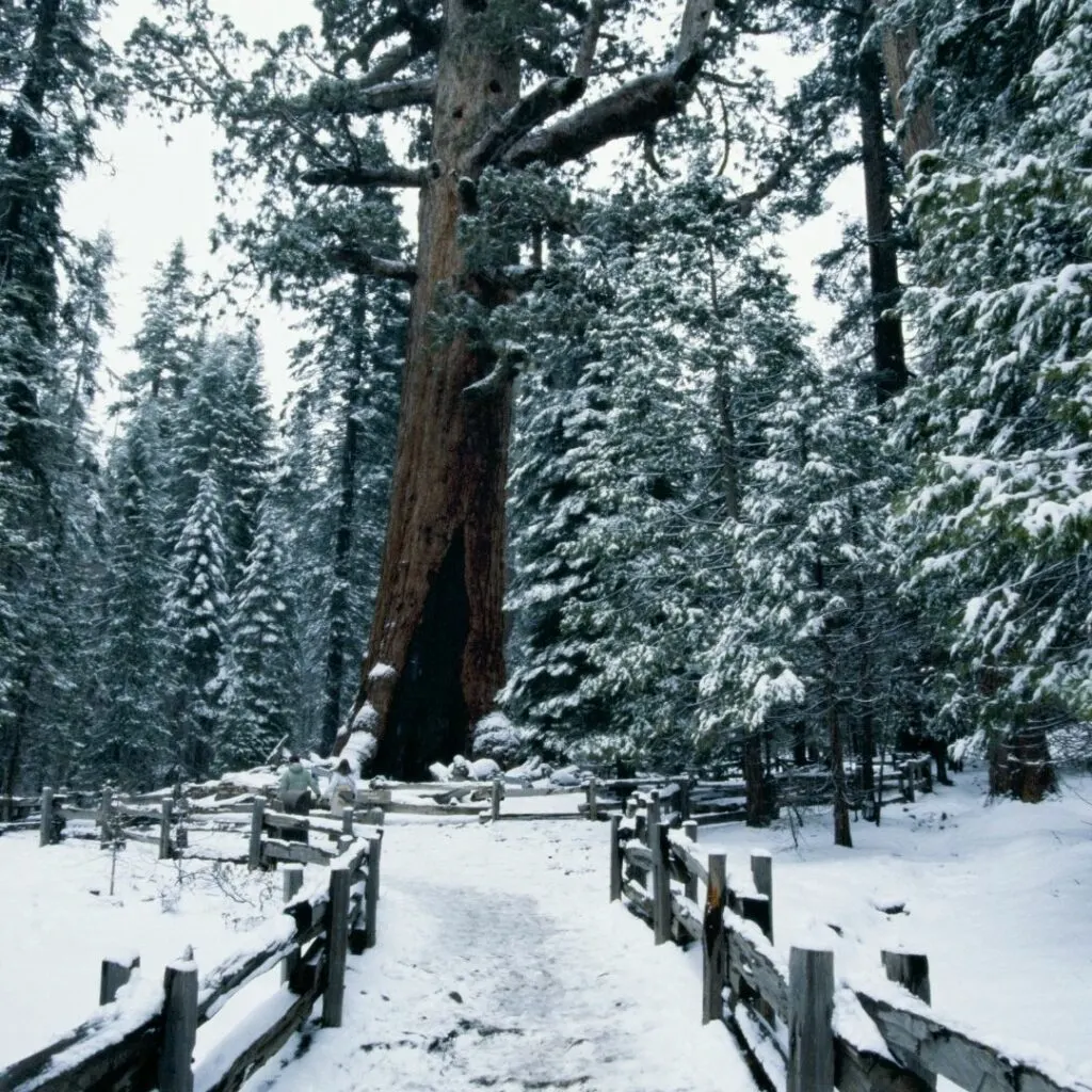 visiting yosemite in december