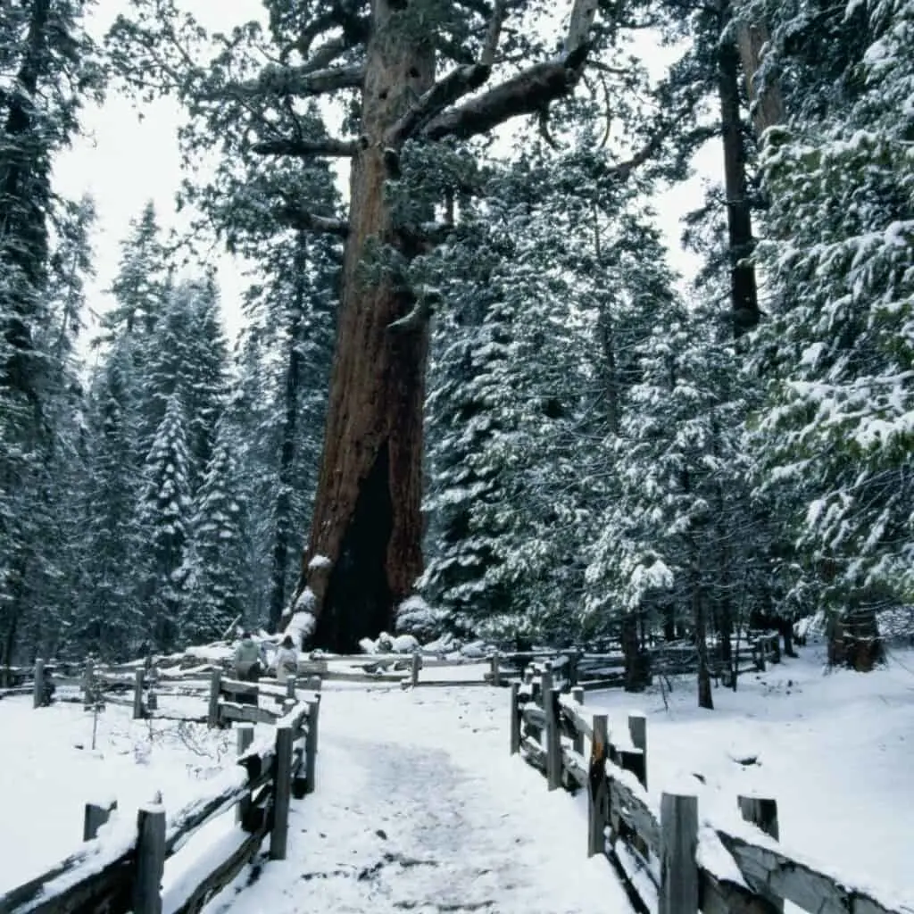 temperature in yosemite in february