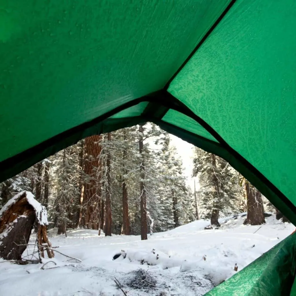 Camping in Yosemite in February