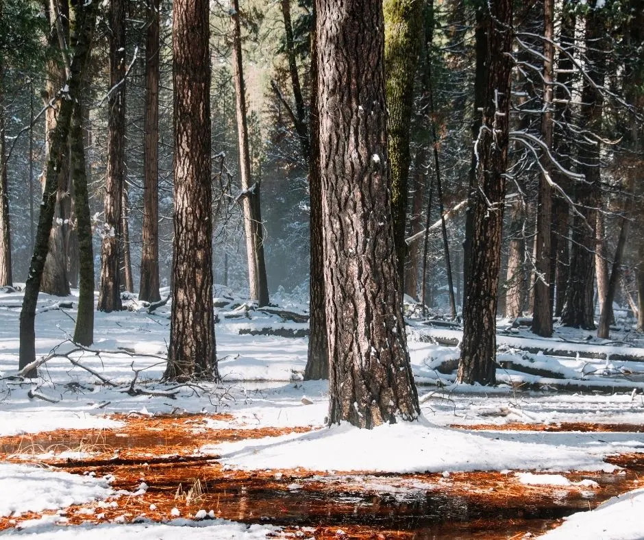 yosemite weather in march