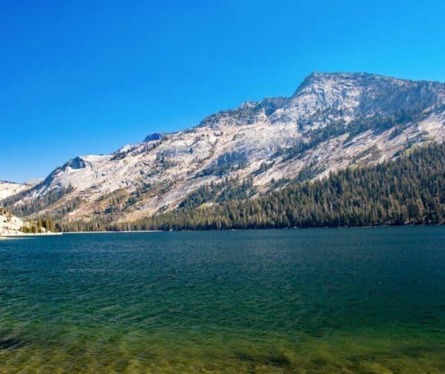 10 + Things to Do in Yosemite in June 2023 Visiting Yosemite In June