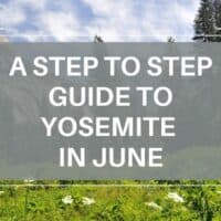 yosemite in June