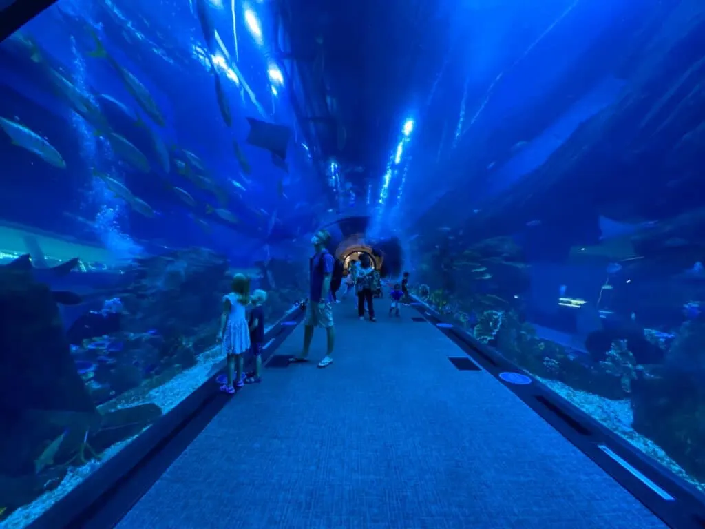 Dubai Aquarium