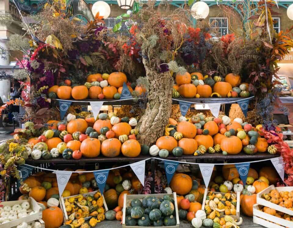 30+ Fun Activities For Halloween In London With Kids 2024