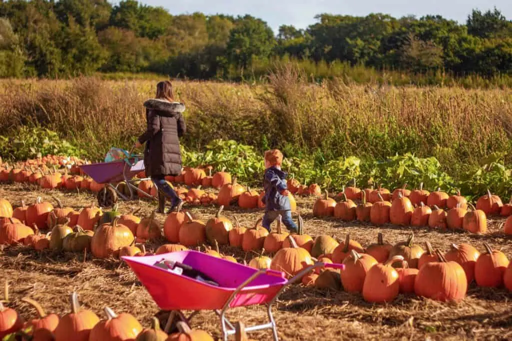 halloween for kids London 