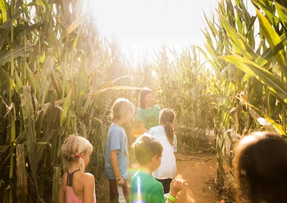 pumpkin patch in oregon ohio