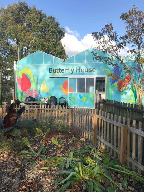 25+ Fun Things To Do In London With A Toddler 2023