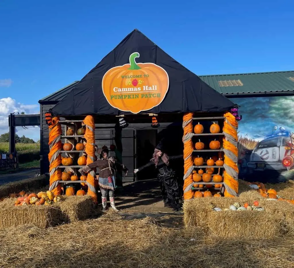 pumpkin picking near London 