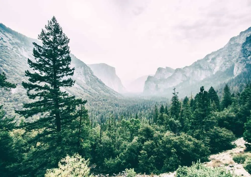 Christmas in Yosemite