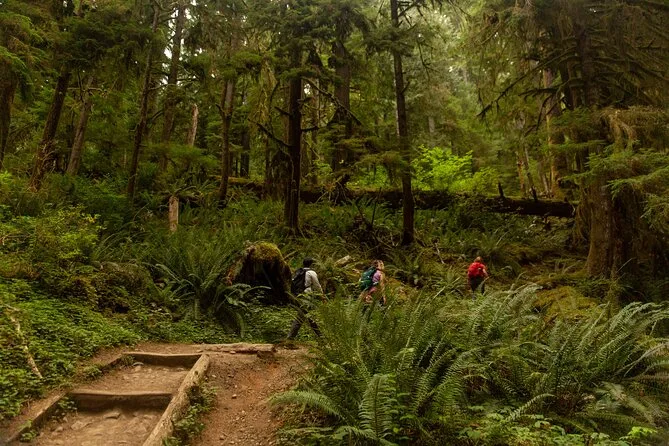 Guided Backpacking Trips In Olympic National Park 57hours, 53% OFF