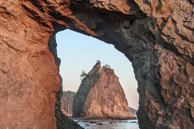 best family hikes in olympic national park