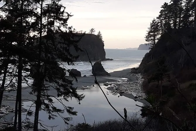 olympic national park with kids