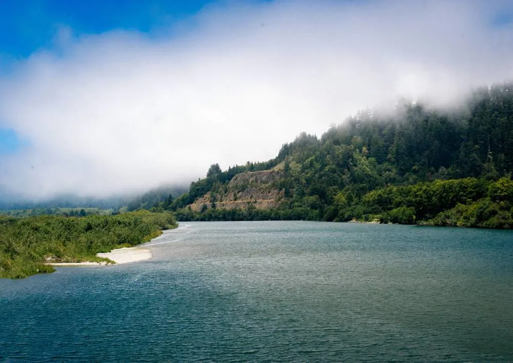 redwood national park for kids