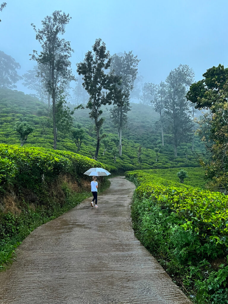 sri lanka with kids 