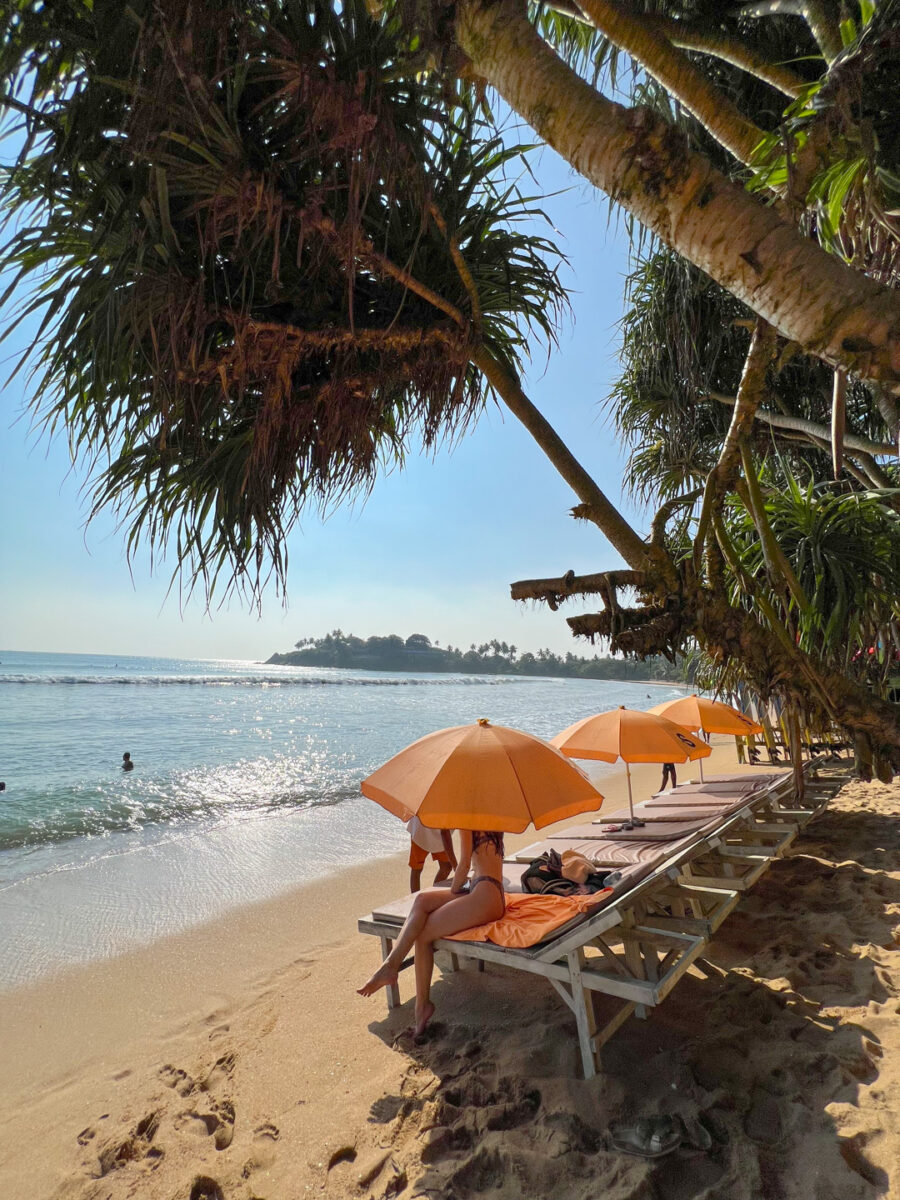 Sri Lanka With Kids 2024 The Best Guide For Families Sri Lanka With Kids 2024 The Best Guide For Families