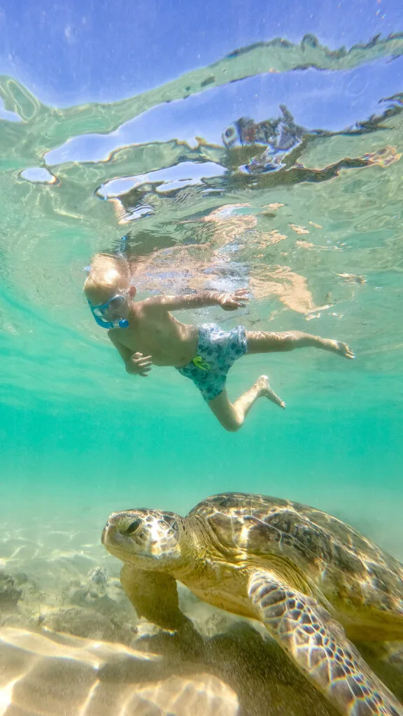 snorkelling in sri lanka 