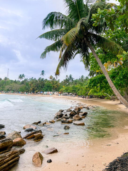 Hiriketiya Beach Sri Lanka - Best Guide To Visiting 2024