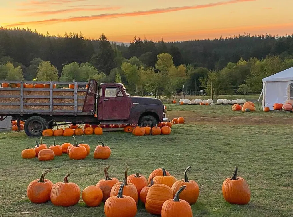 Pumpkin farms in Oregon