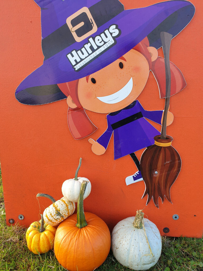 pumpkin picking in essex county