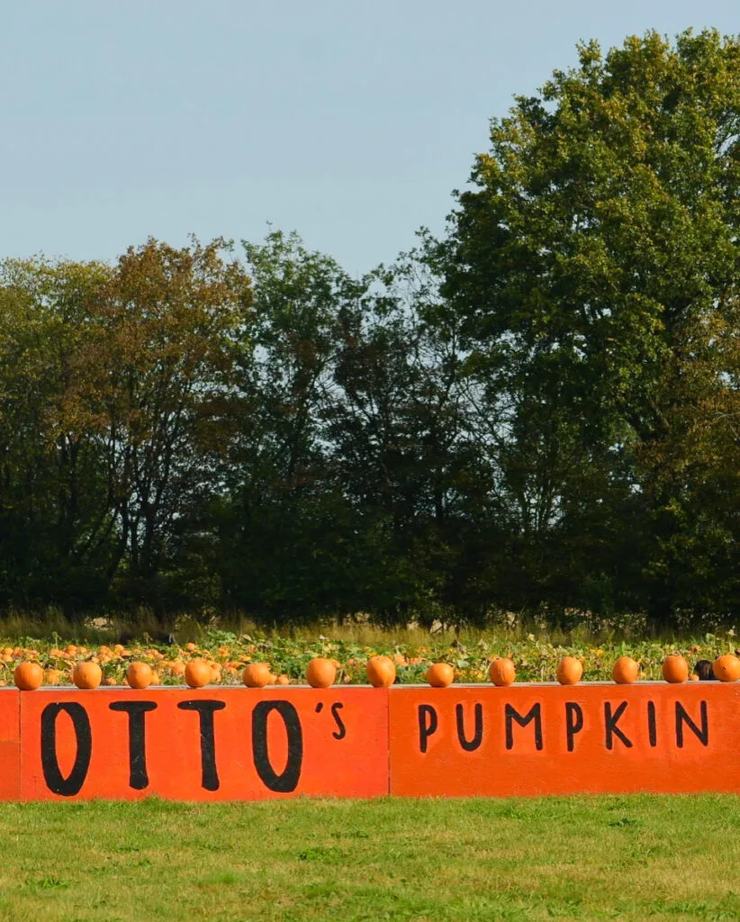 best pumpkin patch essex