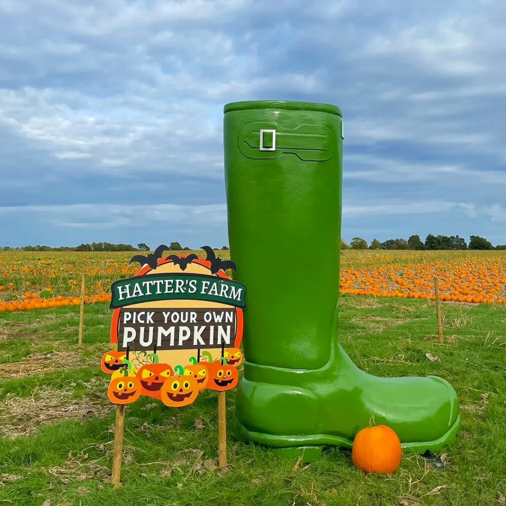 pumpkin picking essex uk