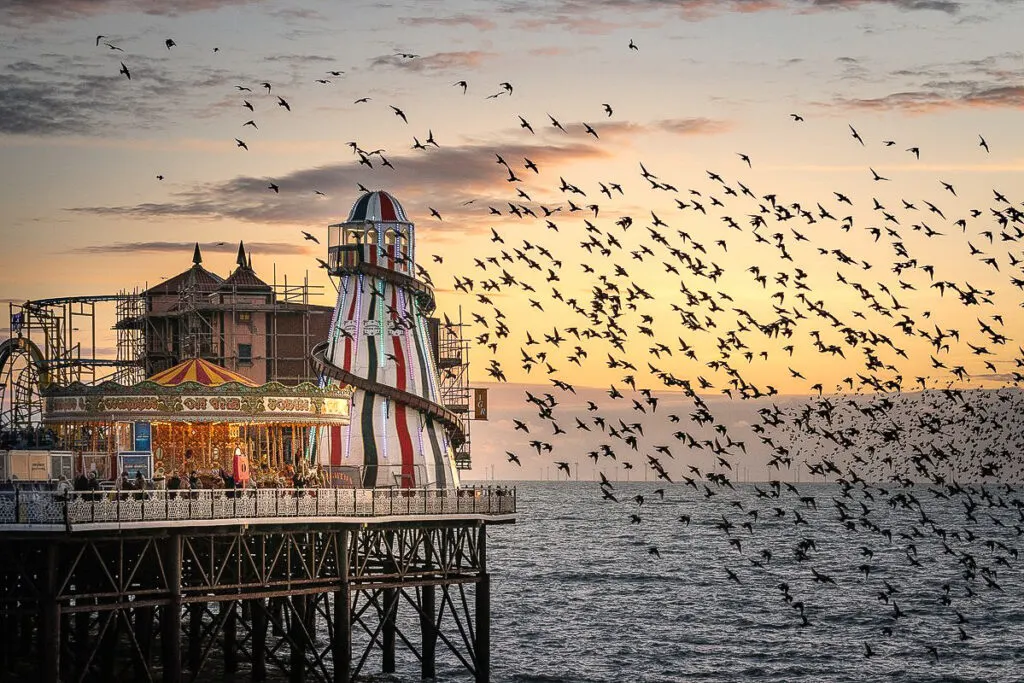 Brighton with Kids