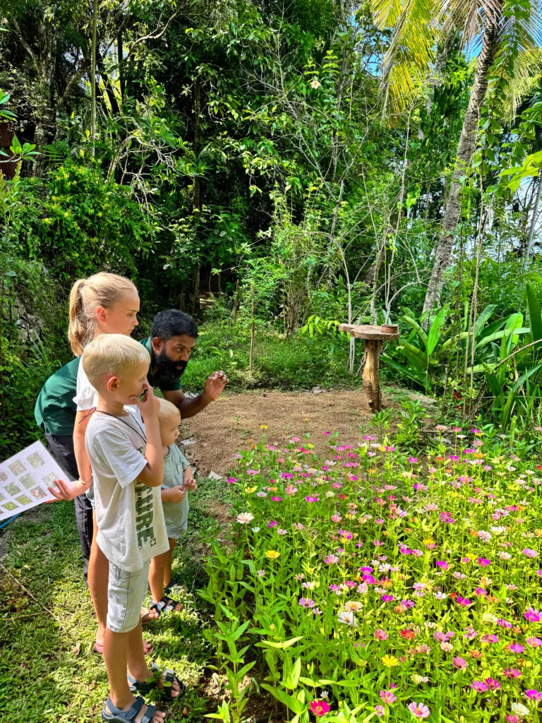 Sri Lanka with Kids