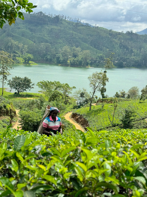 unique places to visit in sri lanka 