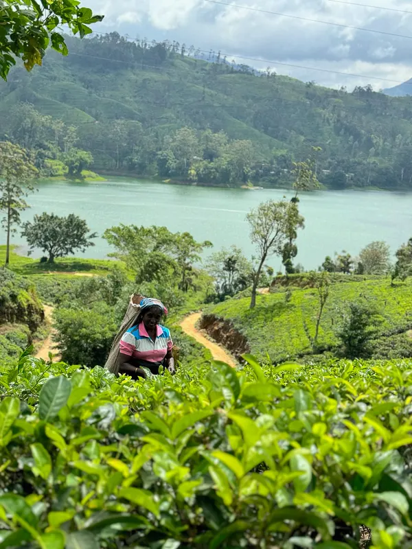 unique places to visit in sri lanka 