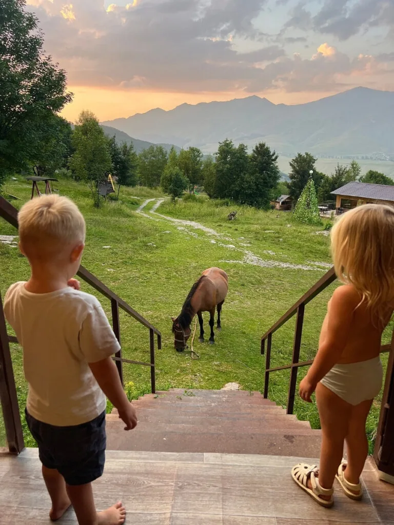 view from wolf glamping 